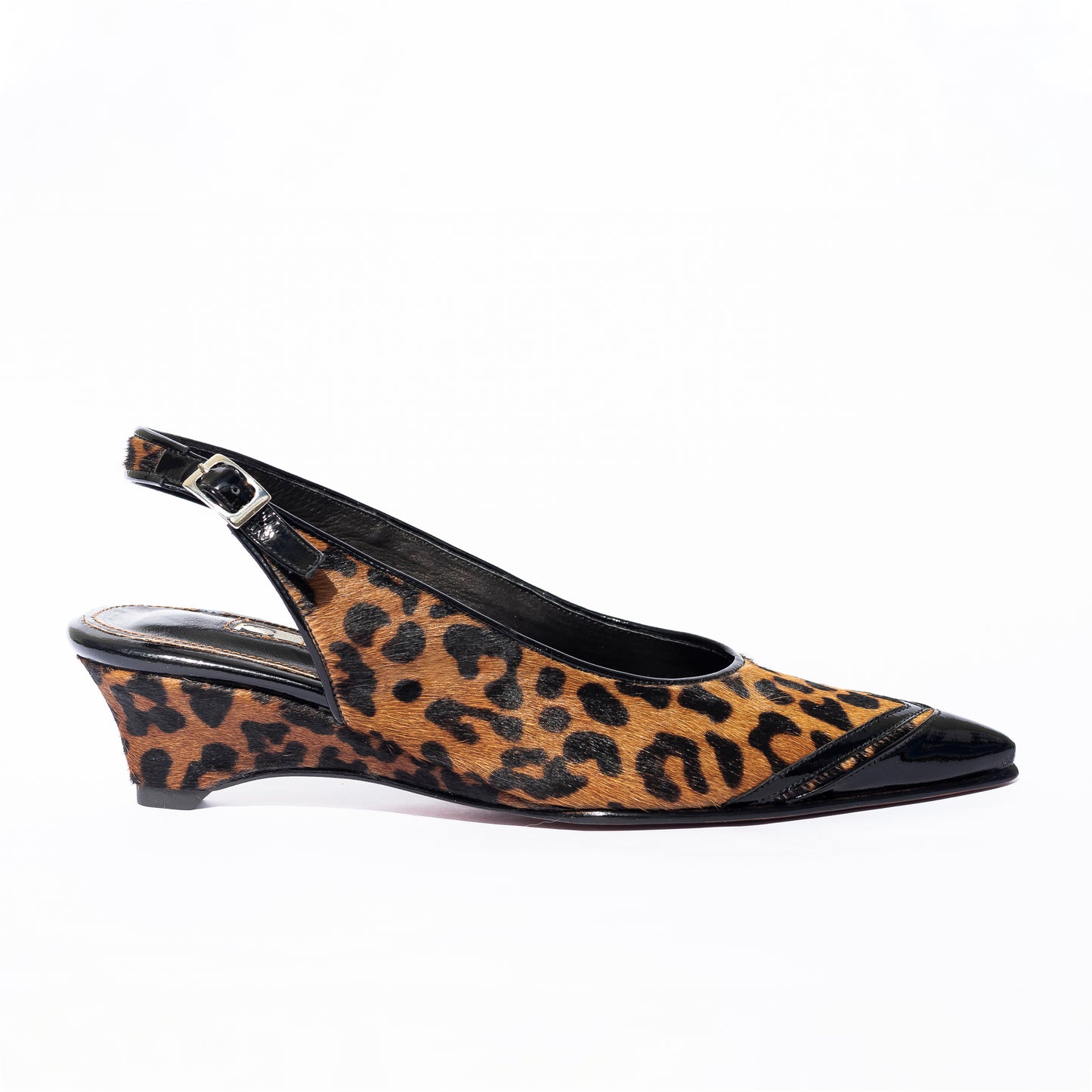 Leopardo Cecilia