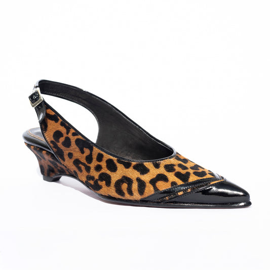 Leopardo Cecilia